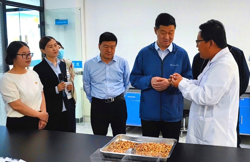 甘肅省地方金融監(jiān)管局、甘肅證監(jiān)局領(lǐng)導(dǎo)蒞臨敦煌種業(yè)調(diào)研指導(dǎo)